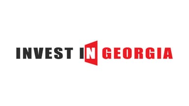 Invest in georgia LLC